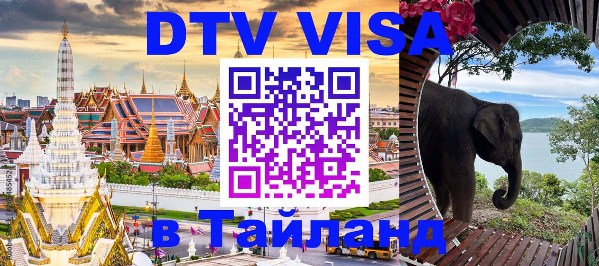 Оформление DTV визы под ключ: стоимость и тарифы, только загранпаспорт - 20.11.2025 